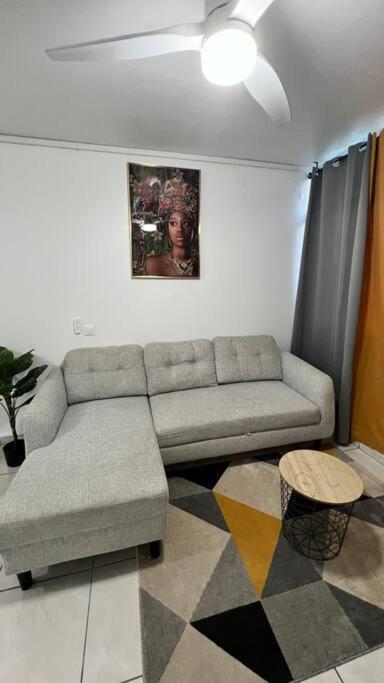 לז אבים Appartement Proche Aeroport Au Rez-De-Chaussee מראה חיצוני תמונה